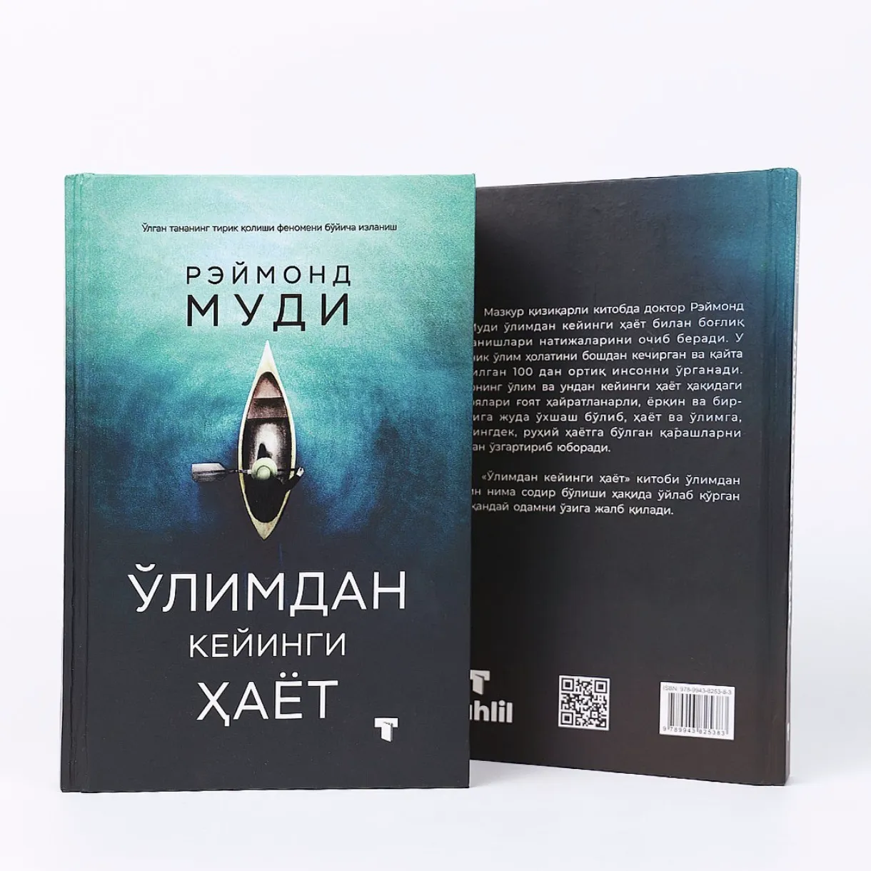 Жизнь после смерти: тайны сознания, бытия и вечности. Философский и научный анализ.